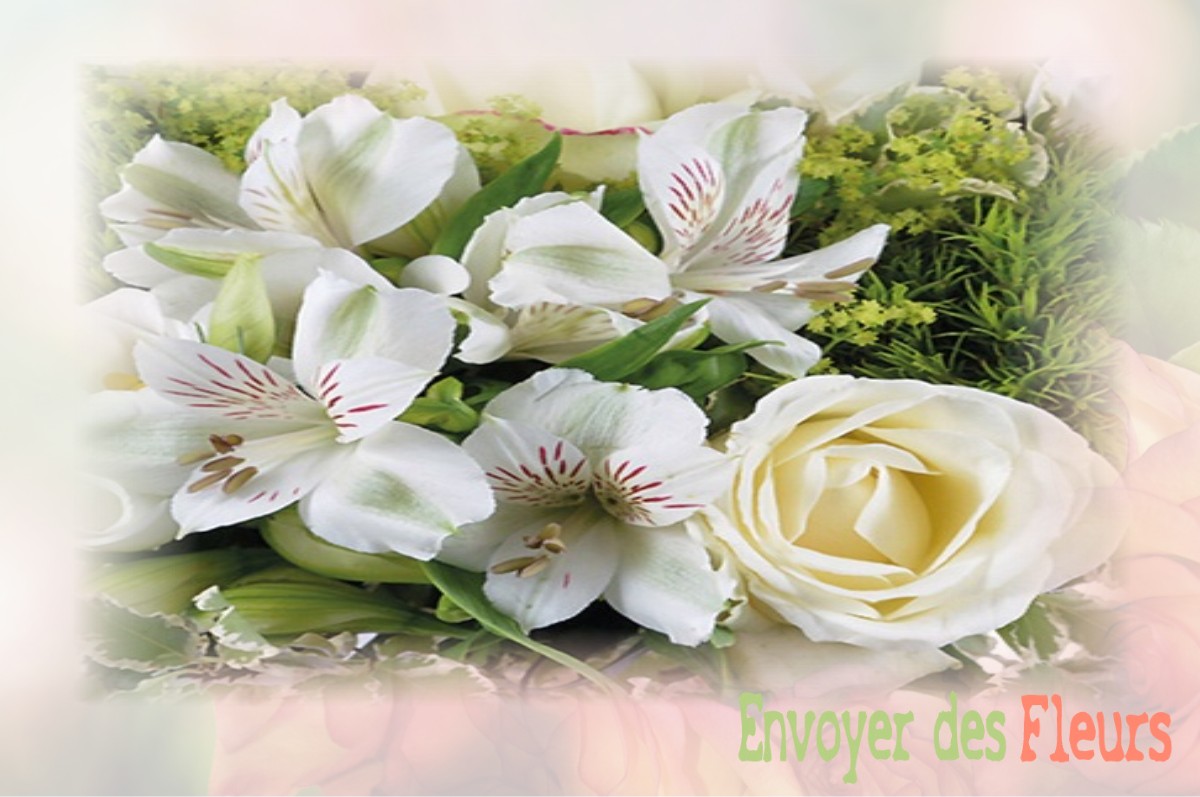 envoyer des fleurs à à SAINT-DENIS-D-ORQUES